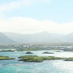 NZ
