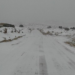 My○Native○Hustla