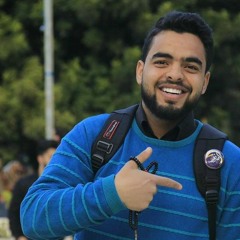 مصطفى الوشاحي