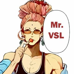 Mr.VSL