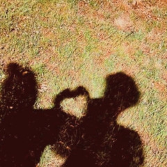 ❧𝕸𝕬𝕿𝕽𝕴𝖃 𝓒𝓮𝓬𝓲𝕷☙