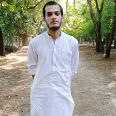 Hamza Saif