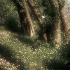 shiftingsubliminalaccount