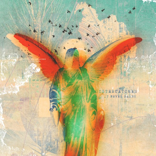 Stream Oystercatcher music Listen to songs, albums, playlists for