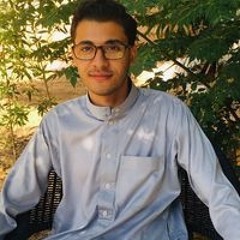 Ziad Emad Badr