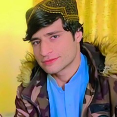Hamed Nadan