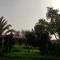 abdelrhman aboelell