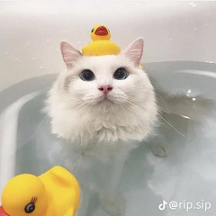 Flufflez