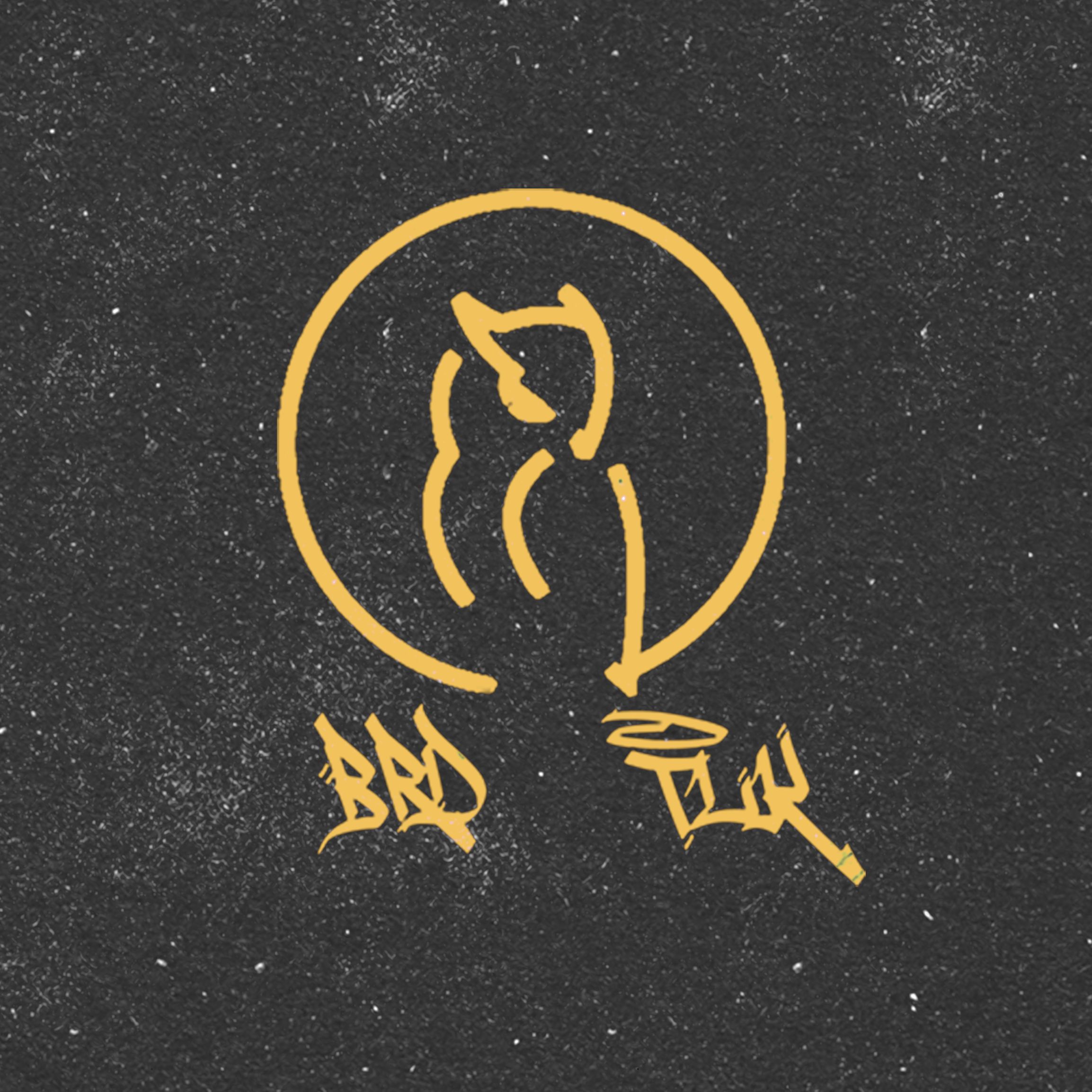 Brd.Tlk podcast artwork