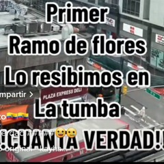 Estilo Max Contruccion
