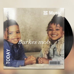BURKE$ MOB