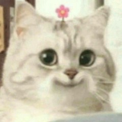 vici