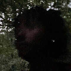 flyjay