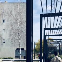 Tiuzy Josibell Paulino