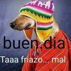 perro peru