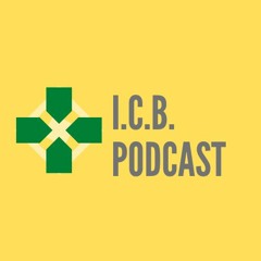 I.C. Bullshit Podcast