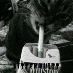 Kitten Kultt