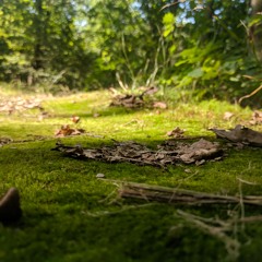 GreeN7
