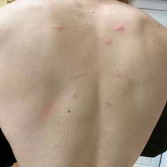 ssyndromboga@mail.ru