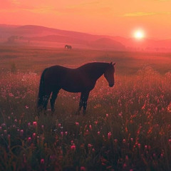 litnparadiise