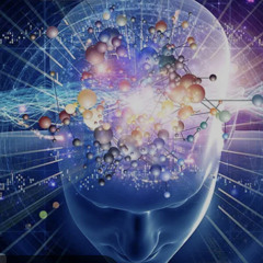 psychoneuroimmunology