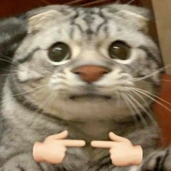 hà