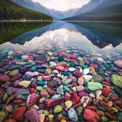 stacey marie kirtley