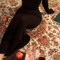 ﮼غِنوة .