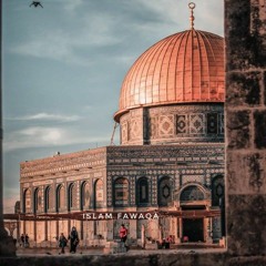 تلاوات د.محمد رفعت