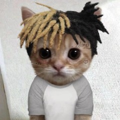 재진