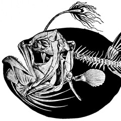 Ceratoidex