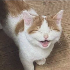 Meysam