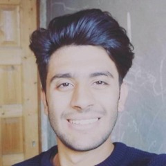 Hesham Abdeltawab