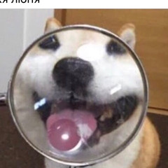 ohhifolli