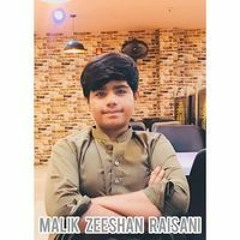 Malik Zeeshan