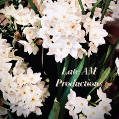 Late AM Productions