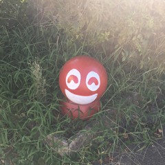 さめこうもり