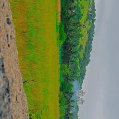 Esha Sb