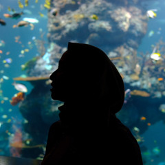 Like I'm Gonna Lose You (Meghan Trainor feat. John Legend Cover)