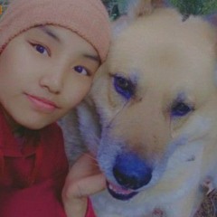 Tashi Negi