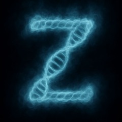 TegamiZ