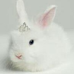 FluffleBunny