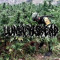 LUNACYISDEAD
