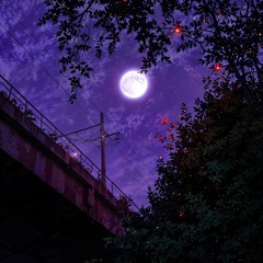 l.l