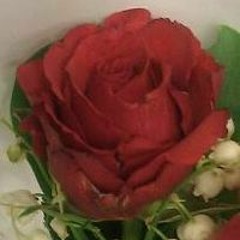 Thierry Rose