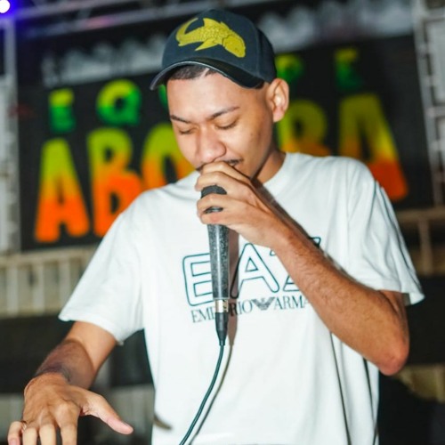 DJ NANDINHO 22 - PERFIL 2 ® CONTEÚDOS PARA DJS’s avatar
