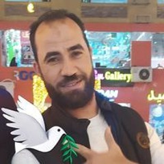Ahmed Shamia