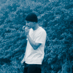 niQ Rotta