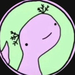 Don’t be meme Daycore