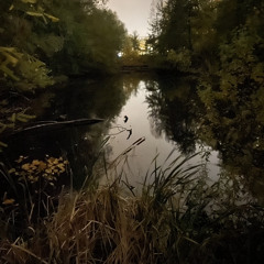 Sheikh Faisal Miskhat